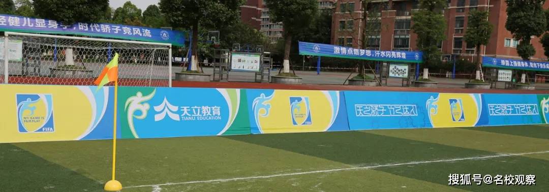 杨院长解说足球推荐(足球杨教授是什么意思)